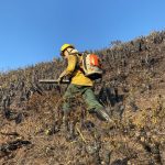 Estudo da UFMG aponta que incêndios colocam em risco nascentes do Parque do Rola-Moça