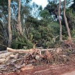 Obras da Prefeitura de Brumadinho são suspensas por irregularidades ambientais