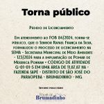 Informe