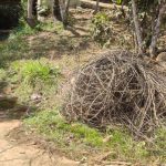 Abandono de cabos de internet em vias públicas vira rotina em Brumadinho