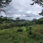 Projeto de mineradora é barrado entre Bonfim e Brumadinho
