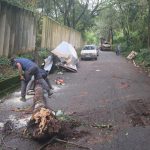 Árvore cai e atinge caminhão baú na estrada Nair Martins Drumond
