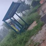 Moradores cobram limpeza de estrada em Tejuco