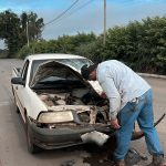 Acidente com cavalo solto em via pública, reacende debate sobre animais nas estradas