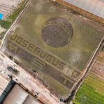 Em clima de Copa: agricultor faz mosaico com a bandeira do Brasil em plantação
