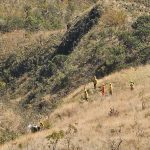 Bombeiros e brigadistas resgatam vítima de acidente no Parque do Rola-Moça