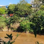 Homem desaparece no Rio Paraopeba, em Brumadinho
